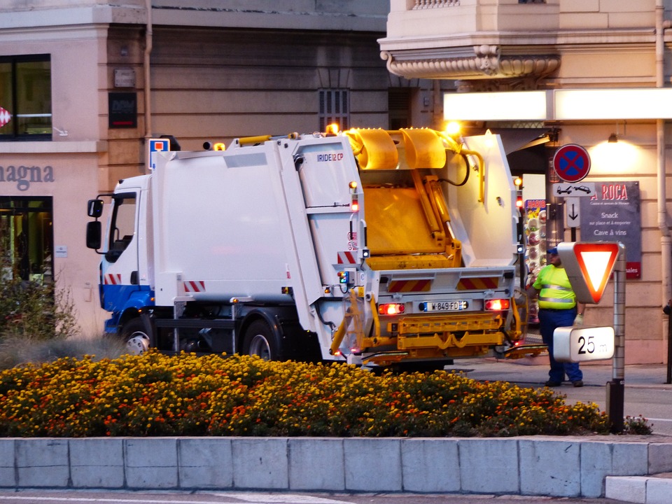 Jak správně čistit uši psa: Návody a tipy